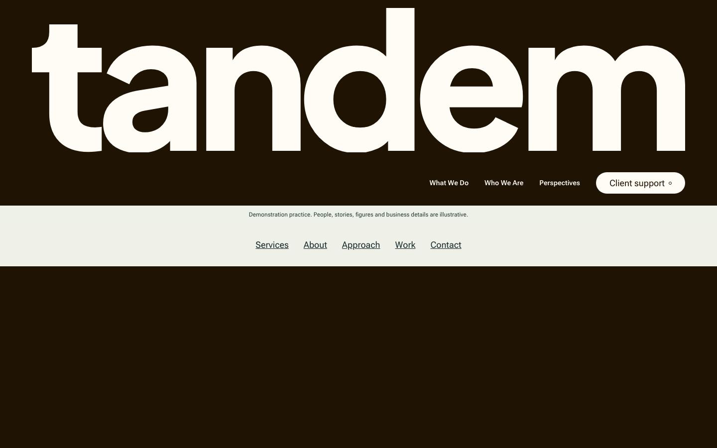 Tandem Tax & Wealth template homepage screenshot