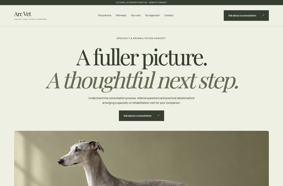 Arc Vet template homepage screenshot