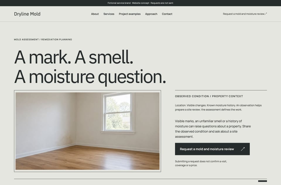 Dryline Mold template homepage screenshot